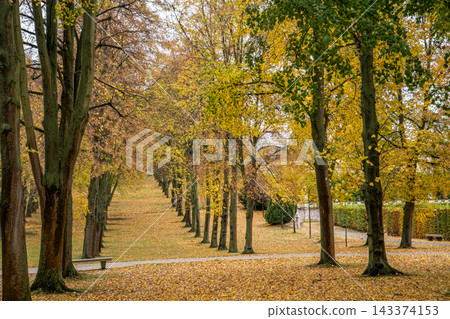Alley of trees in autumn park in Potsdam Germany. Old plant garden Alley of trees in autumn park in Potsdam Germany. Old plant garden 143374153