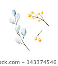 Watercolor blue eucalyptus branch and gold berries set isolated on background. Hand drawn winter botanical elements bundle for Christmas greeting cards. Detailed realistic yellow berry branches collec 143374546