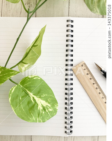 Schedule management, study plans, diary, idea generation, open ring notebook, wooden ruler, pen and houseplant Schedule management, study plans, diary, idea generation, open ring notebook, wooden ruler, pen and houseplant 143375018