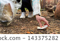 Female hands cleaning up plastic and paper litter in forest. Arms of volunteer collecting garbage thrown by people who pollute the environment. Nature preservation, eco activism and pollution control 143375282