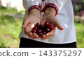 Adult hands of ukrainian woman in traditional vyshyvanka holding a handful of fresh cherries at summer garden. The scene combines tradition and tenderness reflecting harmony between culture and nature 143375297