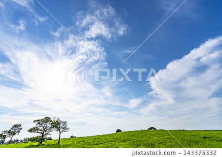 夏天的藍天、白雲和草地 夏天的藍天、白雲和草地 143375332