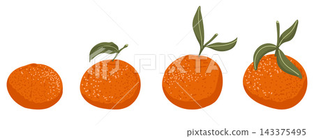 Fresh tangerines with vibrant orange color and citrus appeal. Bright fruit illustration with fun, playful sticker style. Ideal for gift wrapping paper, textile, posters, web banners and holiday decor 143375495