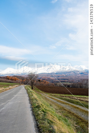 Autumn foliage in the forest and snow-capped mountain ranges: Tokachi Mountain Range 143376519