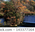 Autumn foliage season at Fujikura Reservoir 143377164