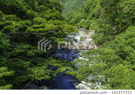 德島縣三好市祖谷溪谷、祖谷藤橋 德島縣三好市祖谷溪谷、祖谷藤橋 143377355