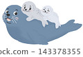 A gentle adult seal carrying two playful baby seals on its back. 143378355