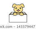 A puppy in a box 143379447