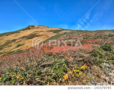 Autumn mountain scenery images that can be used in tourist brochures for autumn foliage hiking and on outdoor websites. Autumn mountain scenery images that can be used in tourist brochures for autumn foliage hiking and on outdoor websites. 143379795