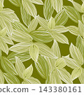 Green leaves of Tradescantia 143380161