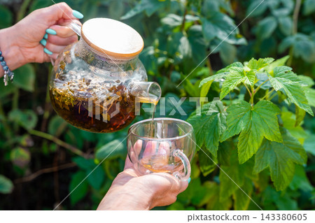Woman pouring raspberry leaf tea from glass teapot into cup in garden. Preparing herbal infusion represents homemade drinks from garden plants Woman pouring raspberry leaf tea from glass teapot into cup in garden. Preparing herbal infusion represents homemade drinks from garden plants 143380605