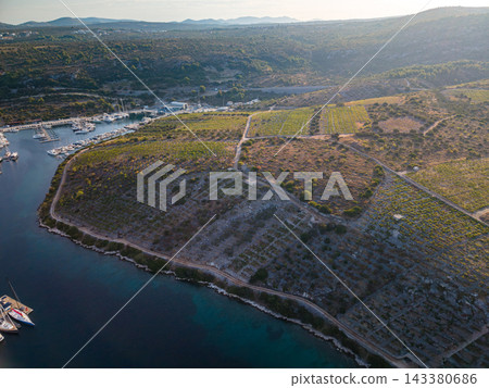 Vineyards cover hillside on Croatias Adriatic coast, meeting marina along water. Parallel grape rows and winding roads shape agricultural landscape beside moored boats and blue sea. Vineyards cover hillside on Croatias Adriatic coast, meeting marina along water. Parallel grape rows and winding roads shape agricultural landscape beside moored boats and blue sea. 143380686
