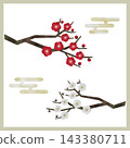 日式水彩插畫，紅白梅花圖案（向量版） 143380711