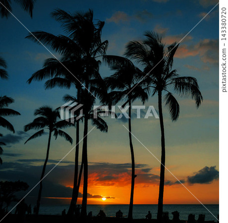 silhouette palm tree on the beach silhouette palm tree on the beach 143380720