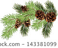 Green fir tree branch with pine cones, Christmas and New Year decoration. . EPS 10 143381099