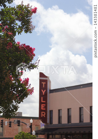 Crepe Myrtle Trees in Bloom Downtown Tyler TX with Neon Tyler Sign in Background Crepe Myrtle Trees in Bloom Downtown Tyler TX with Neon Tyler Sign in Background 143381481
