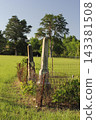 Historic Ebenezer Cemetery Near Troup TX, Rural East Texas 143381508