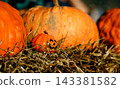 Orange pumpkins and a small Halloween decoration rest on straw. Concept of harvest, Halloween, autumn, decoration, celebration and seasonal tradition. 143381582