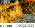 Pumpkins sit along stone pavement in an autumn setting. Concept of harvest, seasonality, decoration, farming, nature, Cucurbita and autumn tradition. 143381583