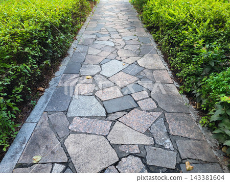 Among the green bushes, the road is paved with stone slabs of various shapes. Among the green bushes, the road is paved with stone slabs of various shapes. 143381604
