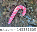 A huge artificial pink candy cane is hanging on the spruce branches. The concept of the New Year and Christmas 143381605