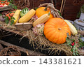 The autumn composition features various pumpkins laid out on a bed of hay. The concept of the harvest Thanksgiving holiday and Halloween 143381621