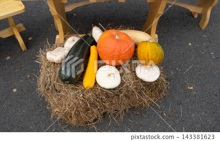 Pumpkins, zucchinis, and pattypan squash laid out on a bed of hay. The concept of a harvest festival in honor of Thanksgiving and Halloween. Pumpkins, zucchinis, and pattypan squash laid out on a bed of hay. The concept of a harvest festival in honor of Thanksgiving and Halloween. 143381623