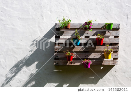 Vertical garden made with a wooden pallet and colorful flower pots Vertical garden made with a wooden pallet and colorful flower pots 143382011