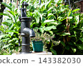 Vintage black iron water hand pump in a lush green garden 143382030