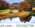 Autumn on the Manso River in Bariloche Patagonia 143382796