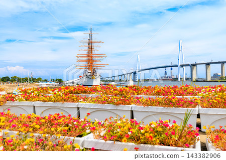 富山縣伊美水市海之丸公園 143382906