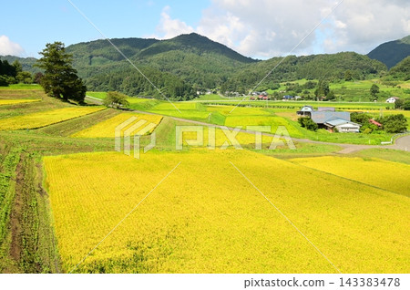 宮本的梯田 宮本的梯田 143383478