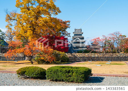 松本城（秋天） 143383561