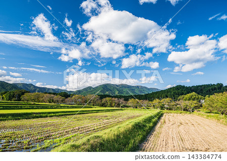 琵琶湖地區的鄉村風光,滋賀郡大津市伊賀立 琵琶湖地區的鄉村風光,滋賀郡大津市伊賀立 143384774