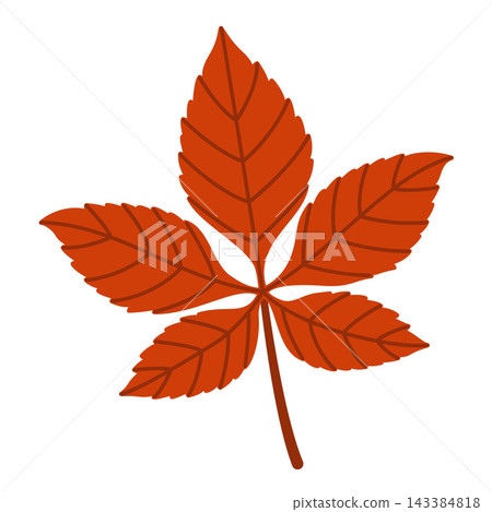 Red Chestnut Leaf Isolated Vector Element Flat Style Graphic 143384818