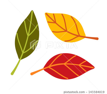 Autumn Leaves Isolated Flat Vector Simple Botanical Elements Set Autumn Leaves Isolated Flat Vector Simple Botanical Elements Set 143384819
