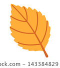 Yellow Birch Leaf Isolated Vector Element Flat Style Icon 143384829