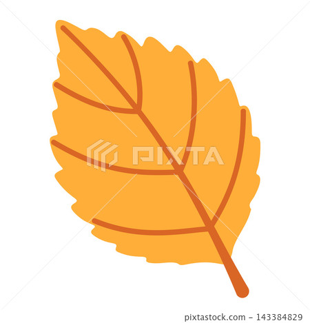 Yellow Birch Leaf Isolated Vector Element Flat Style Icon Yellow Birch Leaf Isolated Vector Element Flat Style Icon 143384829