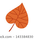 Orange Linden Leaf Isolated Vector Element Flat Style Icon 143384830