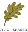 Green Oak Leaf Isolated Vector Element Flat Style Icon 143384834