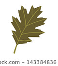 Green Oak Leaf Isolated Vector Element Flat Style Icon 143384836