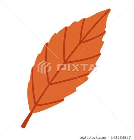 Orange Beech Leaf Isolated Vector Element Flat Style Icon 143384837