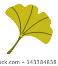 Ginkgo Biloba Leaf Isolated Vector Element Flat Style Icon  143384838