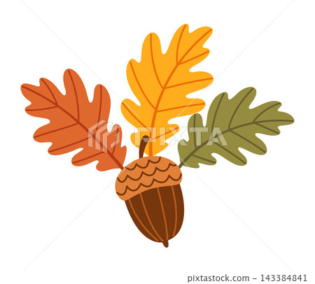 Autumn Oak Branch Leaves And Acorn Isolated Flat Vector Element Autumn Oak Branch Leaves And Acorn Isolated Flat Vector Element 143384841