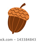 Autumn Acorn Oak Nut Isolated Vector Element Flat Style Graphic 143384843