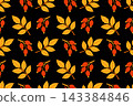 lack Background Rosehip Berry Seamless Pattern Hand Drawn Flat 143384846