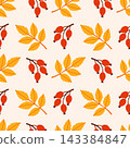 Beige Background Rosehip Berry Seamless Pattern Hand Drawn Flat 143384847