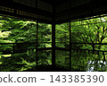 The dazzling green of Rurikoin Temple in early summer 143385390