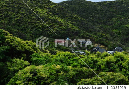 Fresh greenery in Kashiragashima village Fresh greenery in Kashiragashima village 143385919