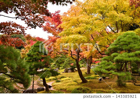 Scenery of autumn leaves Scenery of autumn leaves 143385921